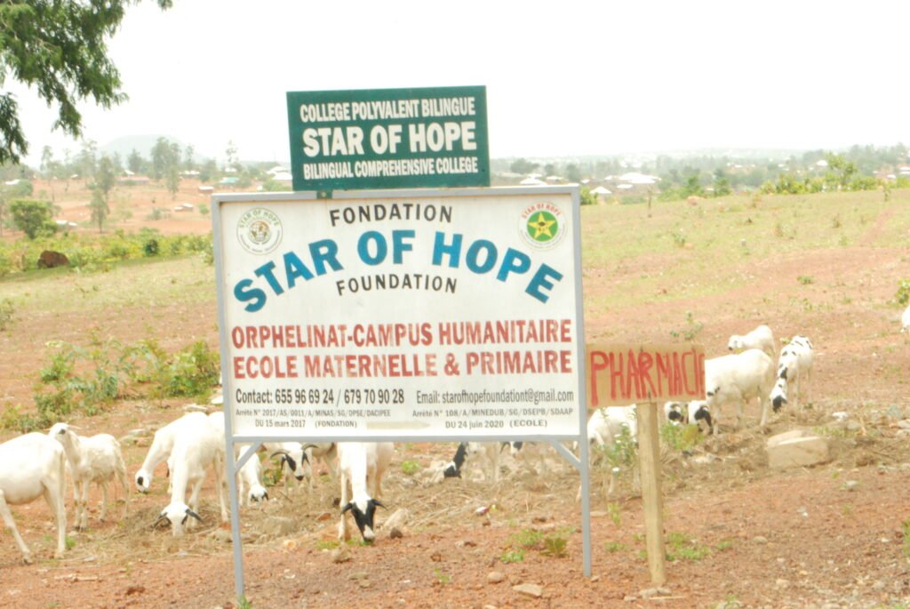 star-hope